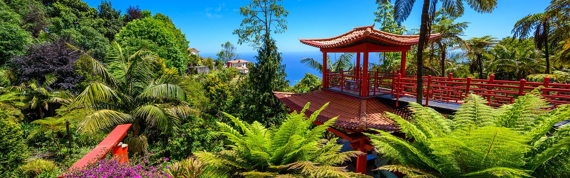 Transatlántico: Santo Tomás y Punta Cana