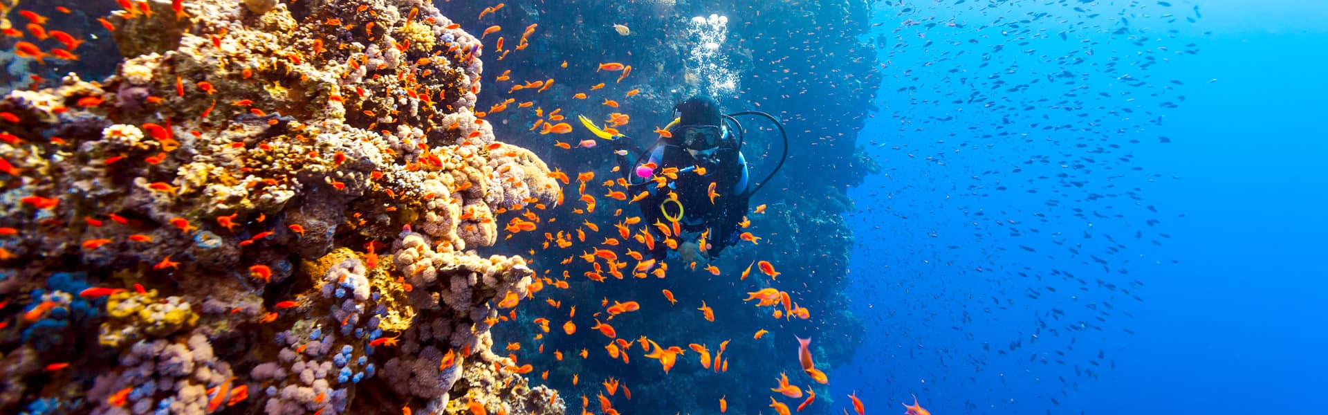 Panama Canal: Mexico, Costa Rica & Belize