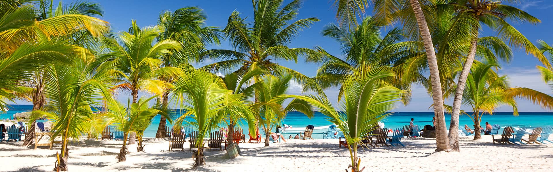 Bermuda: Aruba & Dominican Republic 