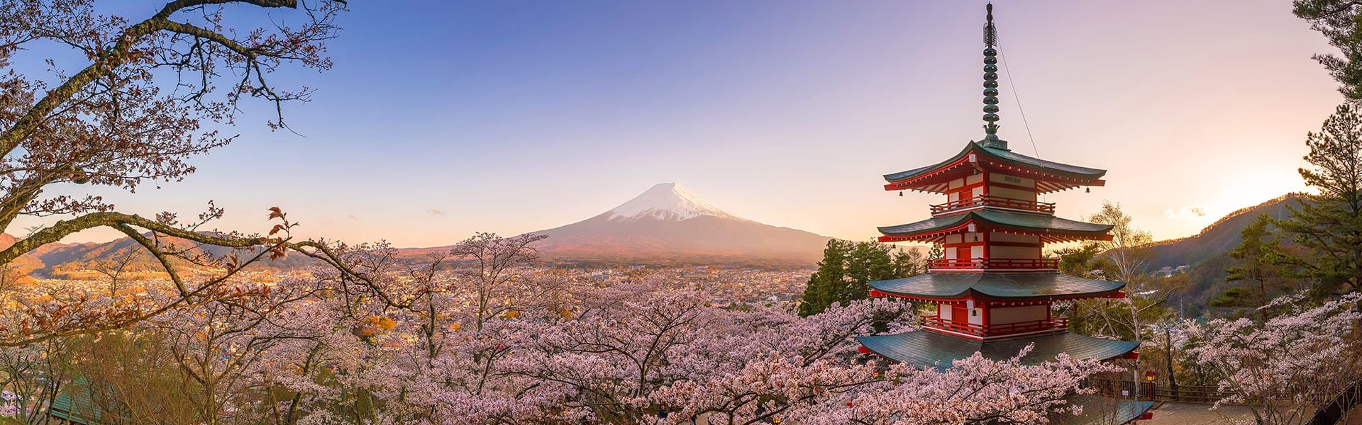 Asia: Osaka, Kochi, Jeju &  Mt. Fuji