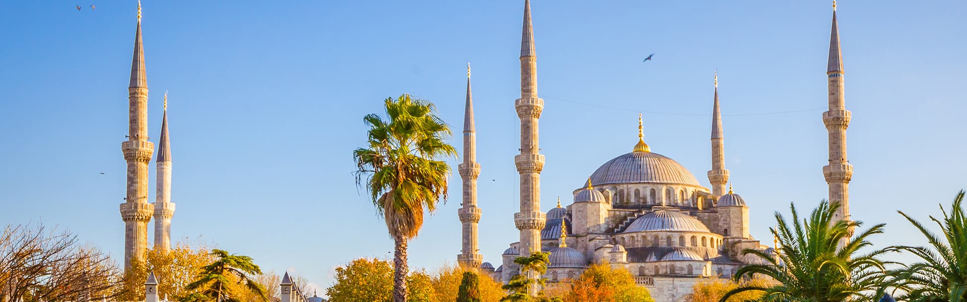 Paquete terrestre en Estambul