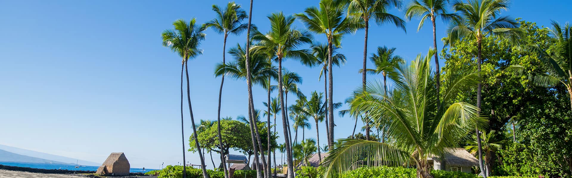 South Pacific: Hilo, Maui & Moorea