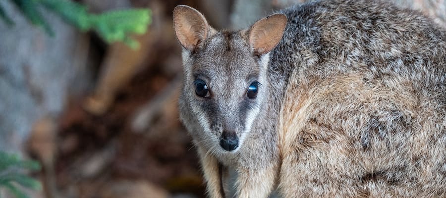 Townsville, Australia