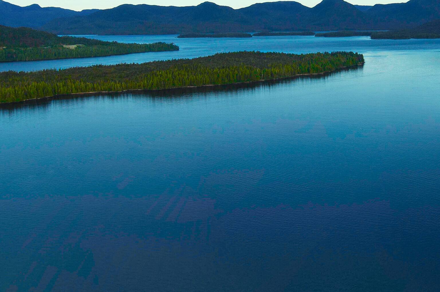 Norwegian's Free at Sea Free Open Bar & More