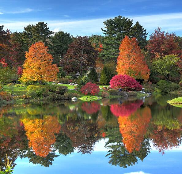 Canada & New England Fall Cruises & Cruise Deals