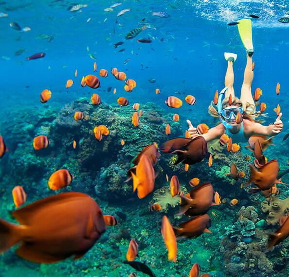 Winter Cruises in The Caribbean