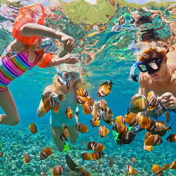 Disfruta un crucero por el Caribe sur junto a tu familia con la línea de cruceros líder por el Caribe.