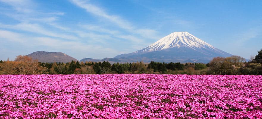 Japón, viaje de ida y vuelta desde Tokio: Osaka, Nagoya, Busan y Beppu, 10 días