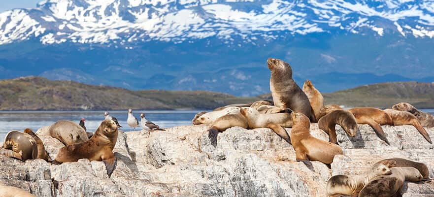 14-Day Antarctica & South America Round-trip Buenos Aires