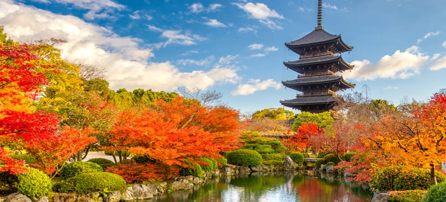 Crociera 14 giorni Asia: Il grande Giappone da Tokyo (Yokohama)