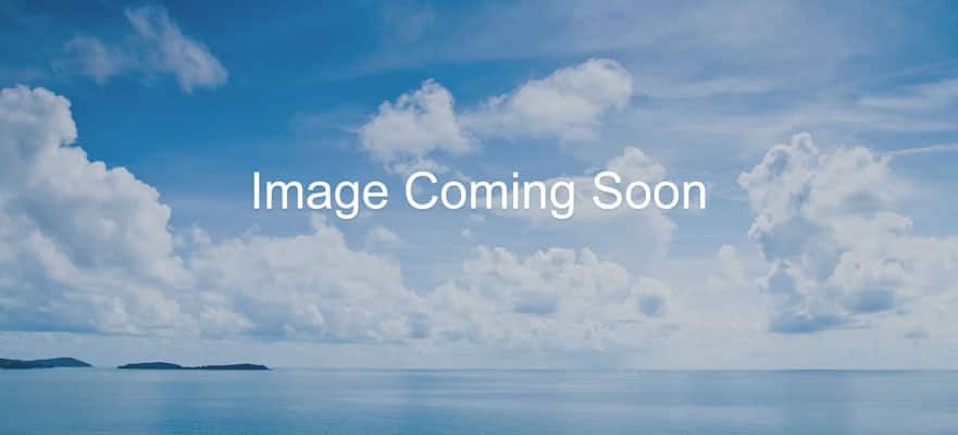 /sites/default/files/881x400-placeholder-image_317.jpg