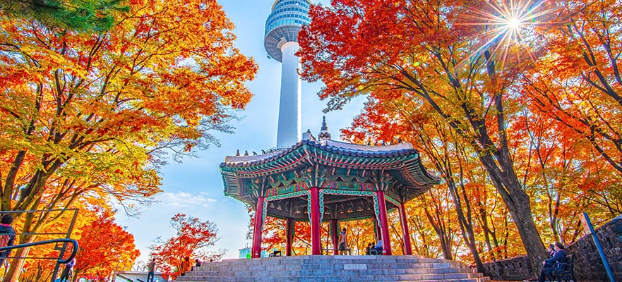 /sites/default/files/881x400_INCCRUISETOUR_Day-3-Namsan-Tower-Pavilion_111524.jpg