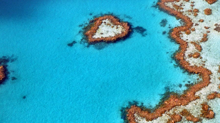 Great Barrier Reef, Australia See the Great Barrier Reef on a Cruise to Australia with Norwegian