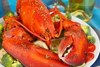 canada lobster