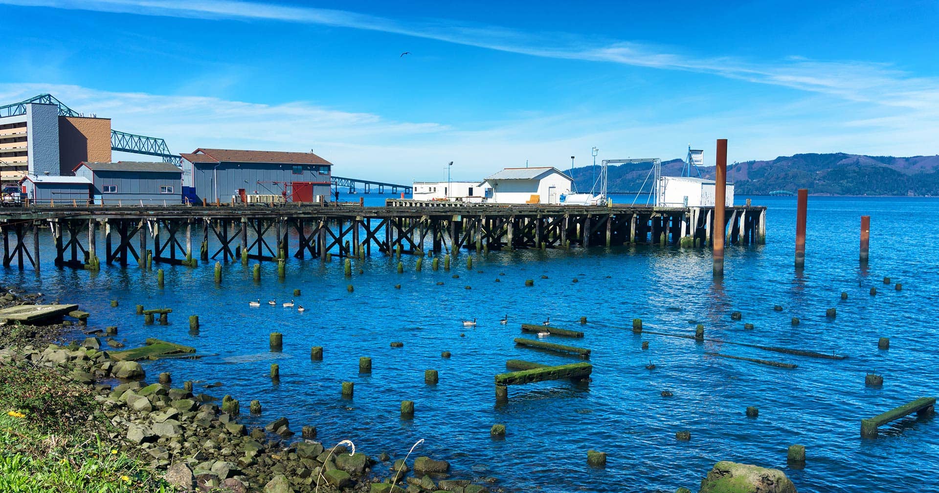 Astoria, Oregon Astoria Waterfront Bike Tour Excursion Norwegian