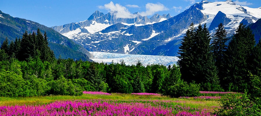 Visita el impresionante glaciar Mendenhall en un crucero por Alaska