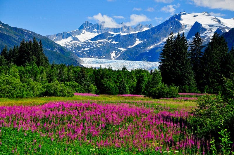 Vai in crociera in Alaska con Norwegian quest'estate