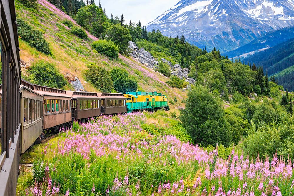 2022 Alaskakreuzfahrten ab Seattle, Vancouver und mehr
