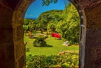 Garden view in St. Kitts