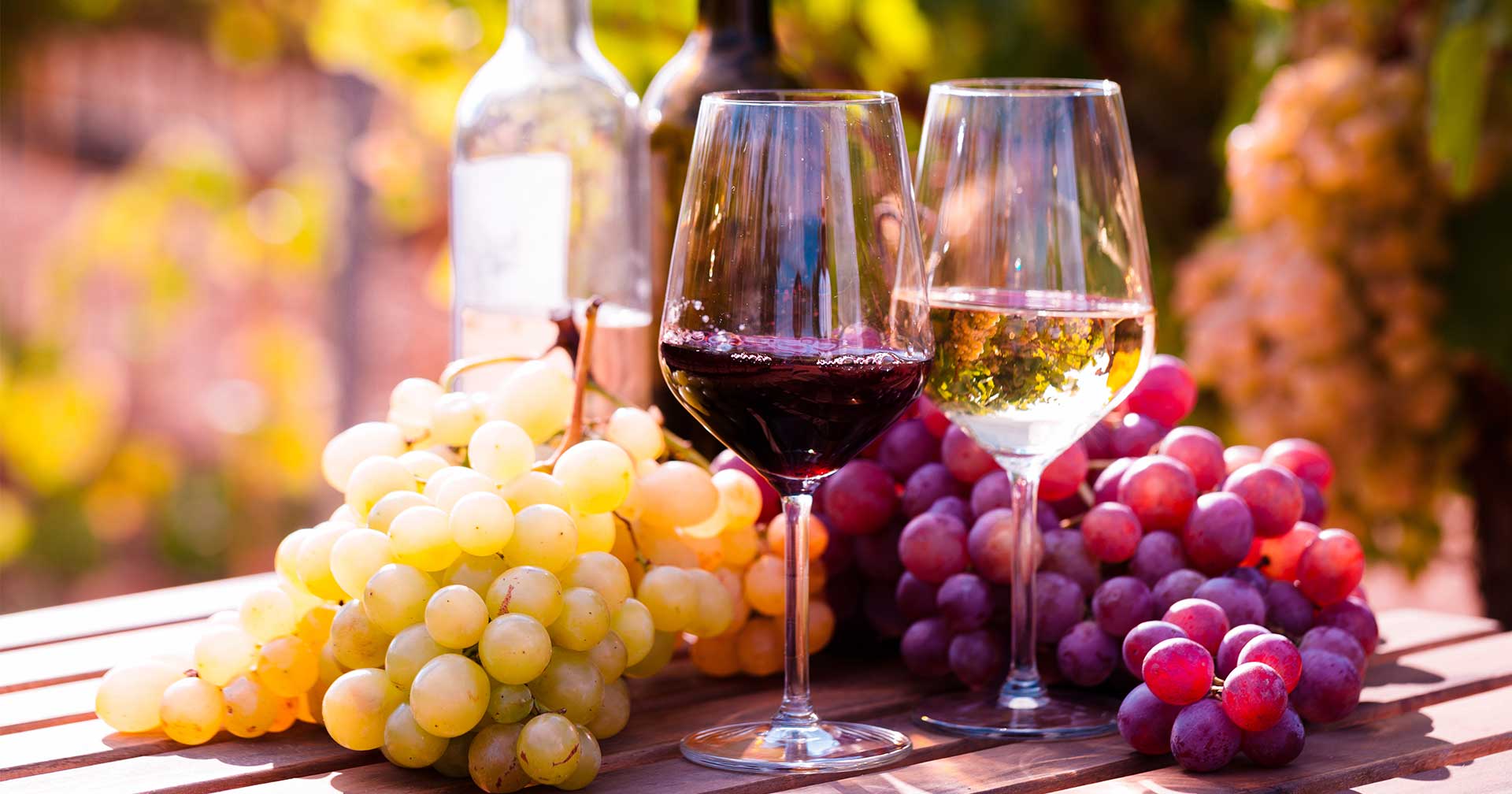 Barcelona, Spain Gourmet Tour Caves Llopart Vineyards With Lunch Excursion Norwegian Cruise Line