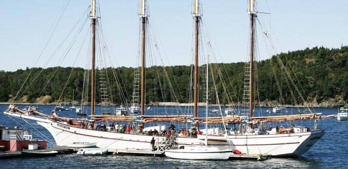 cruise from bar harbor