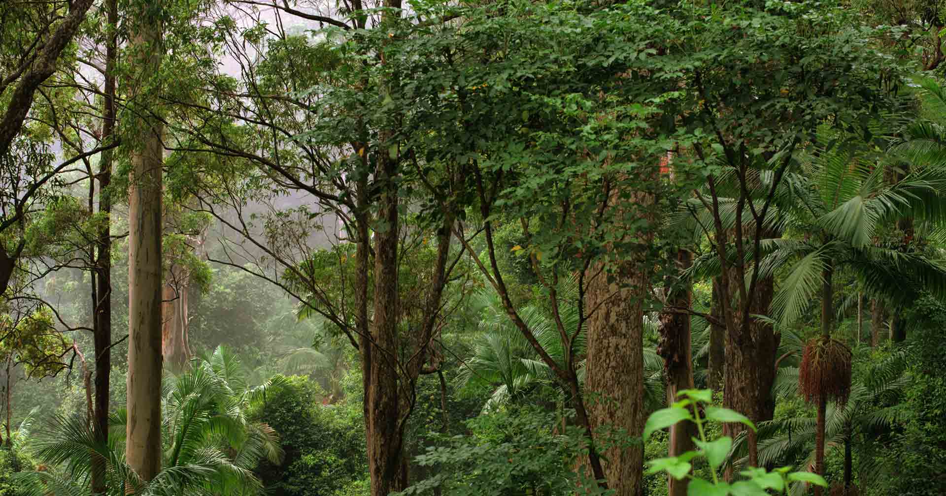 Mount Tamborine Winery & Crafts