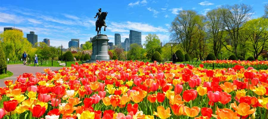 Boston Common Park on your Boston cruise