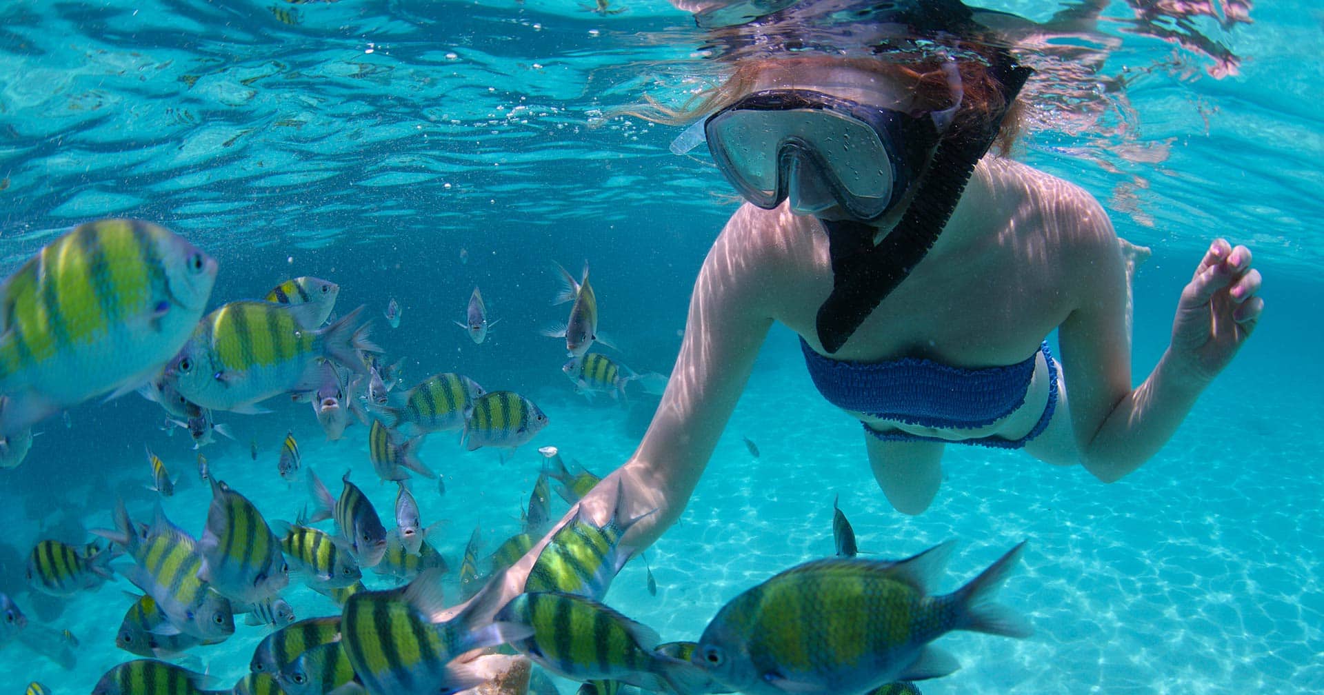 Barrier Reef Snorkel 