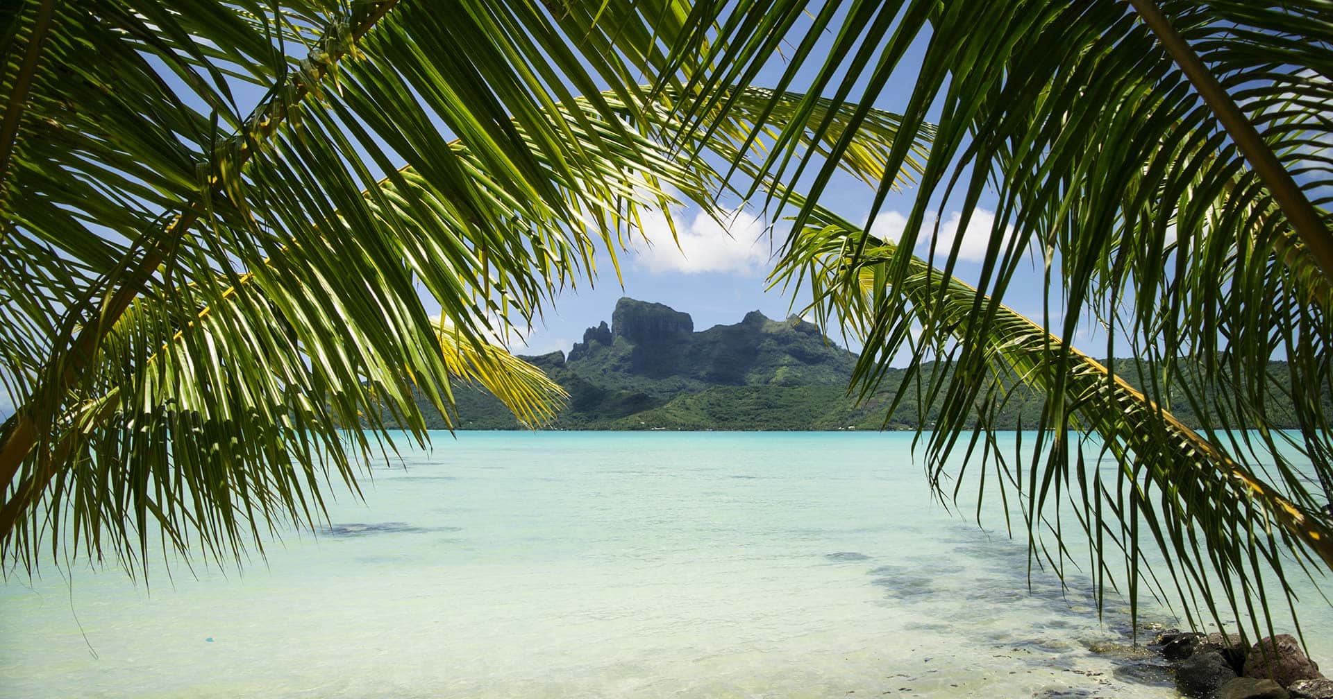 Island Discovery By Le Truck