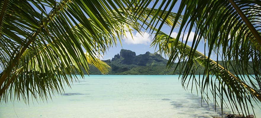 hawaii to south pacific cruises
