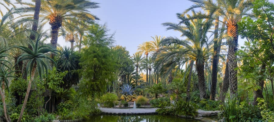 Jardín de palmeras en Huerto del Cura en tus vacaciones en España