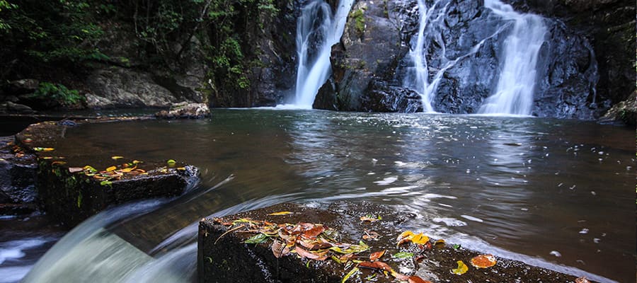 Chutes d'eau dans une forêt tropicale lors d'une croisière à Cairns