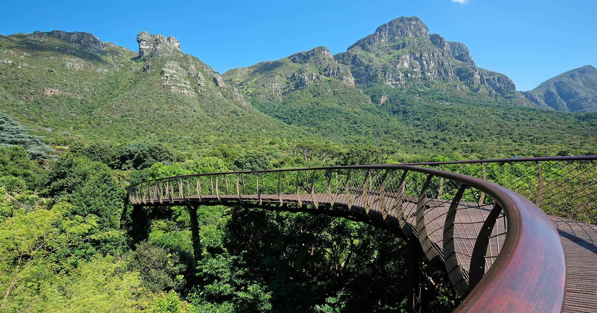 Kirstenbosch & Constantia - Debark Tour