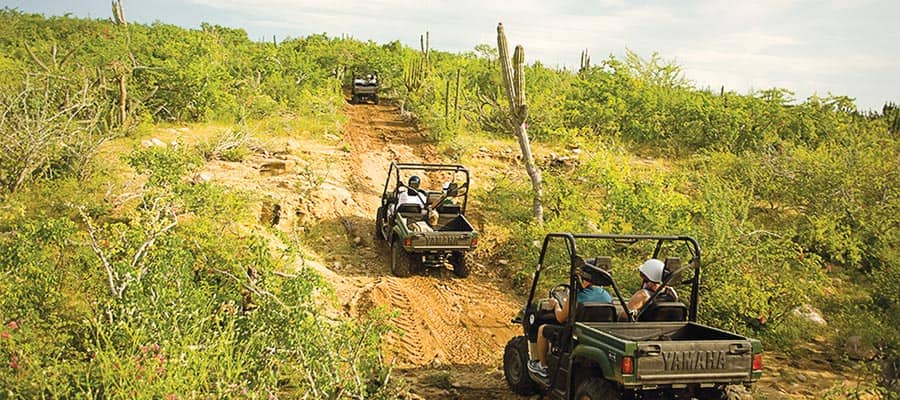 Cuando visites Cabo San Lucas recorre el desierto de Baja