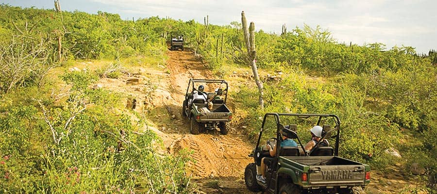 Explore Baha's desert when you're in Cabo San Lucas