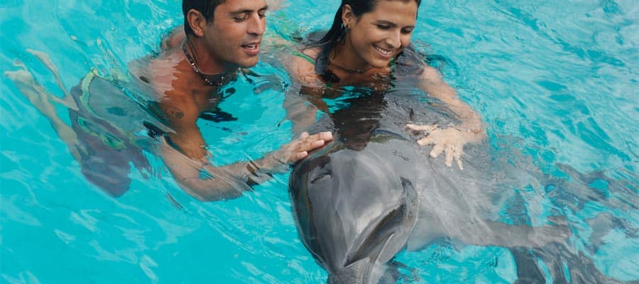 Nagez avec des dauphins lors de votre croisière sur la Riviera mexicaine