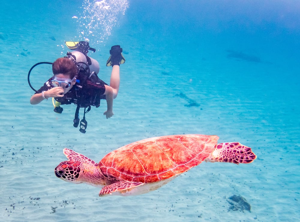 Diving & Snorkeling in Curacao