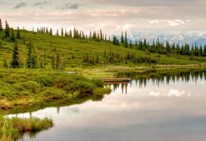 Expreso Denali y Fairbanks, 11 días