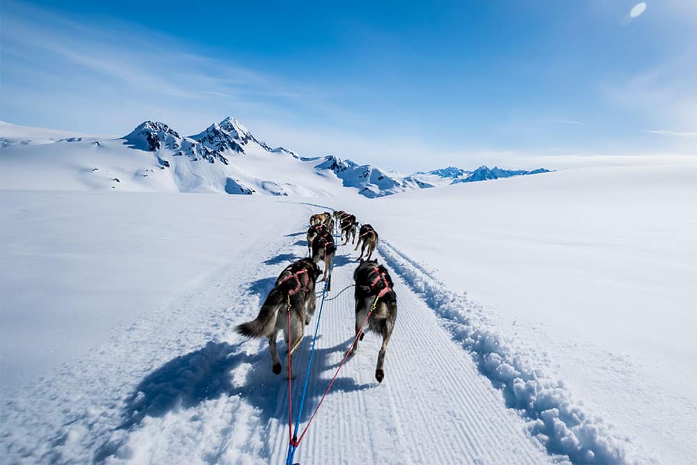 Norwegian Cruises Alaska