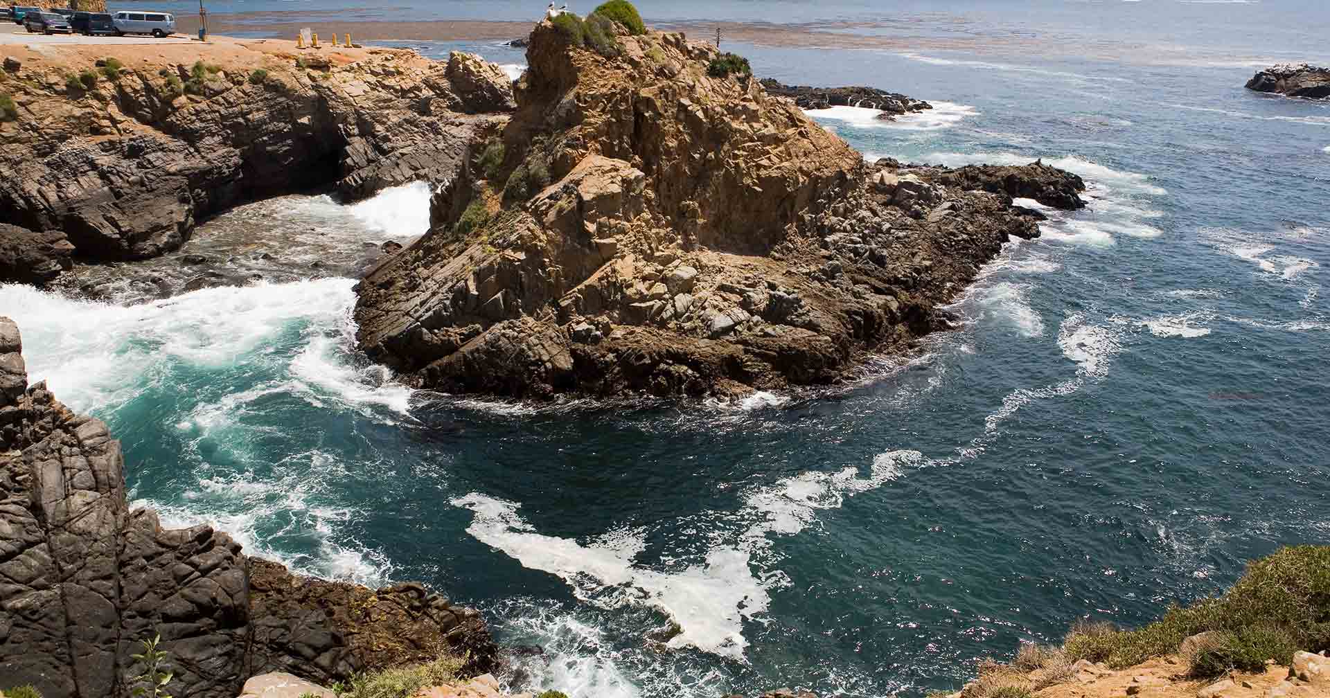 La Bufadora Adventure & City Highlights