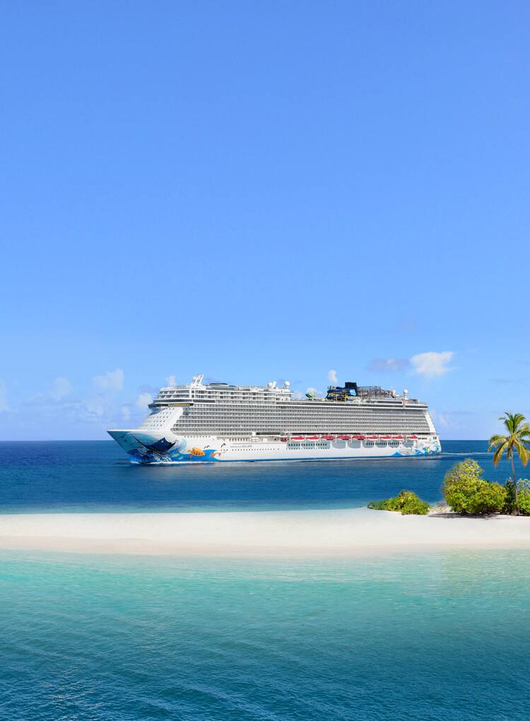 Norwegian's Free at Sea Choose 2 Free Packages.