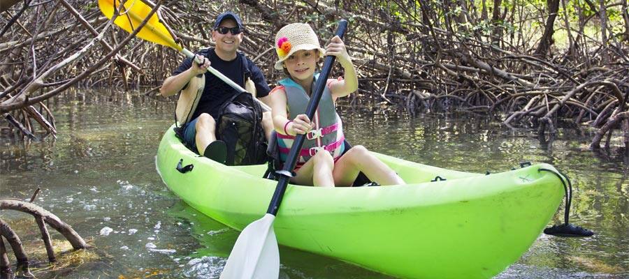 Pasea en kayak por los manglares de Martinica