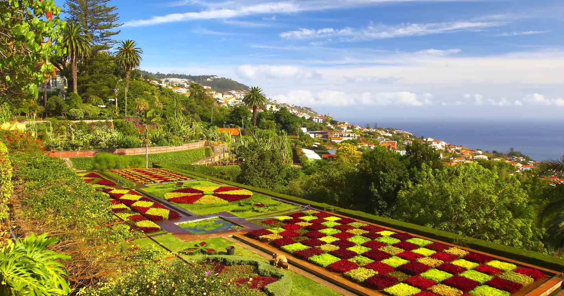 Funchal, Madeira Funchal & Botanical Gardens Excursion Norwegian