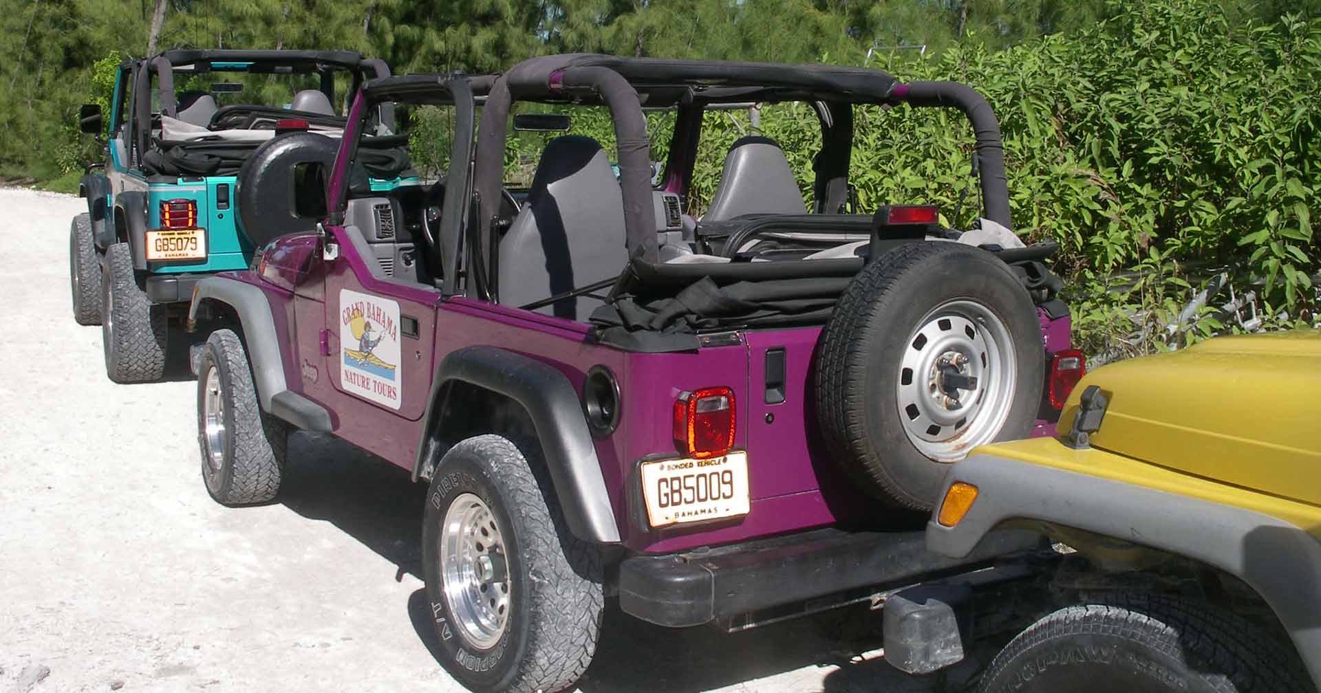 Grand Bahama Island, Bahamas Bahamas Jeep Safari Excursion Norwegian