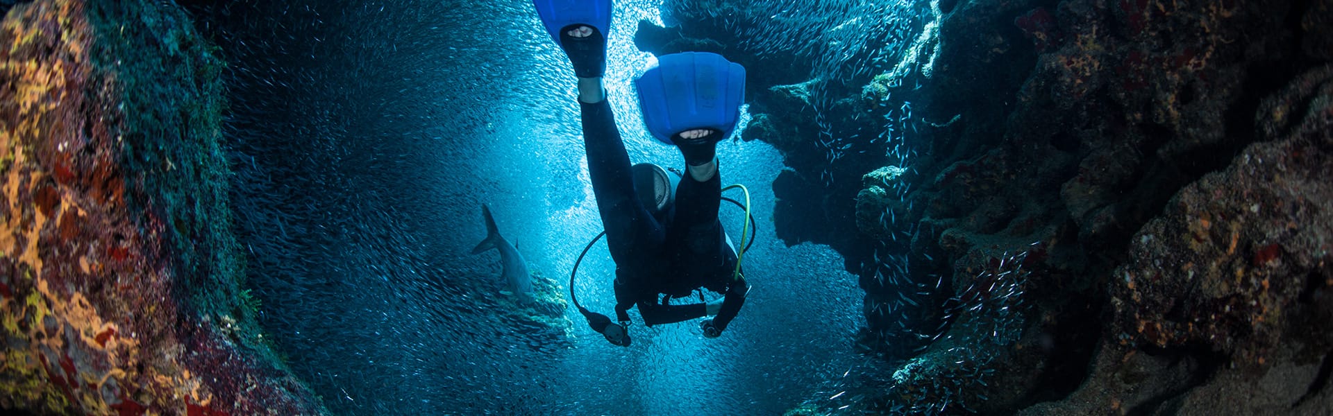 Caribbean: Great Stirrup Cay & Cozumel