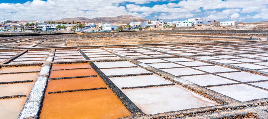 View the otherworldly landscape of the Salinas Del Carmen.