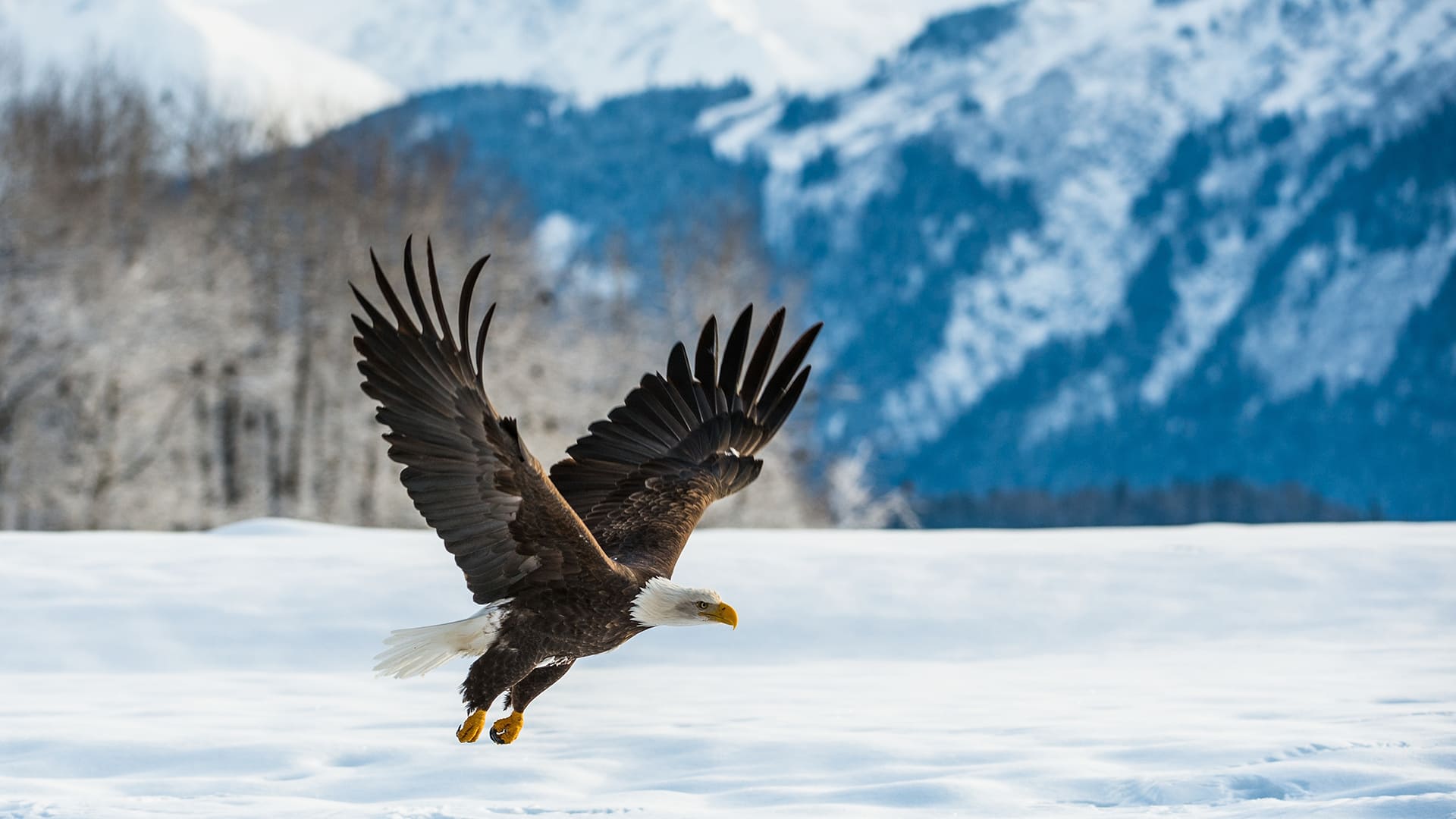 Eagle Preserve Rafting Float Adventure  