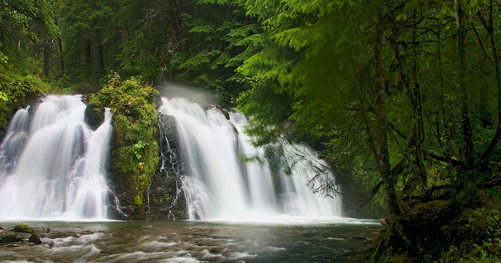 Juneau, Alaska Mendenhall Glacier & Salmon Bake Excursion Norwegian