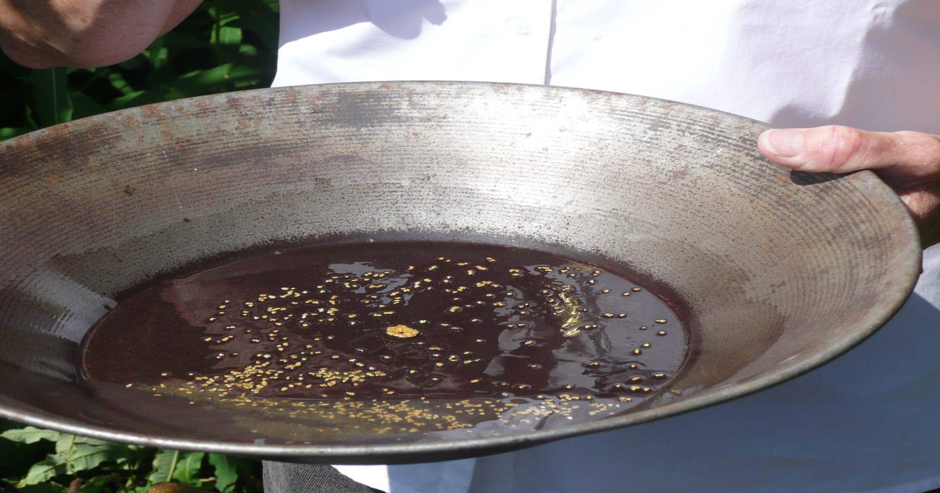 Juneau, Alaska Historic Gold Mine, Panning & Salmon Bake Excursion