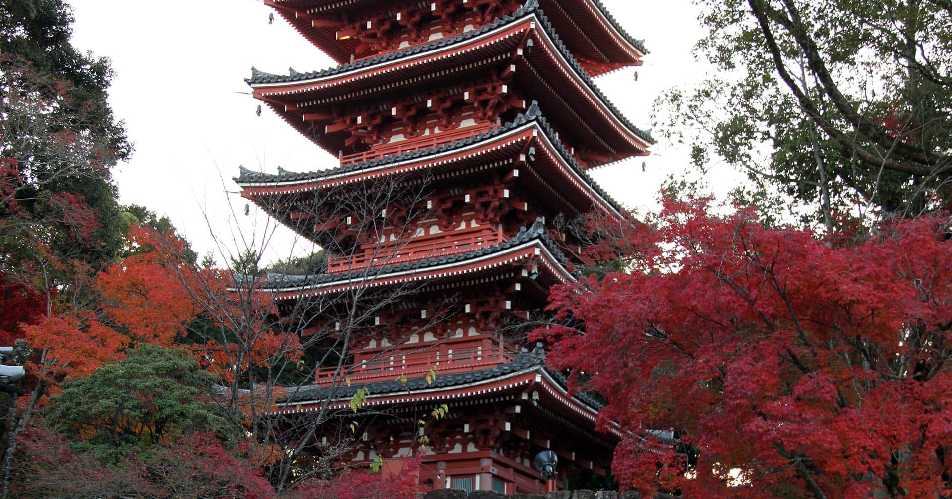 Beautiful Temple & Gardens